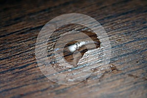 Water drop on a floor. Drop on a wooden floor.