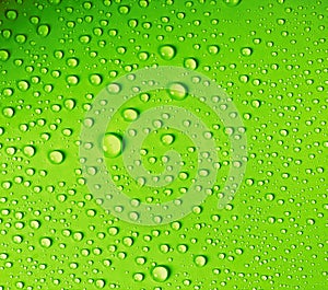 Water drop on fresh light green background