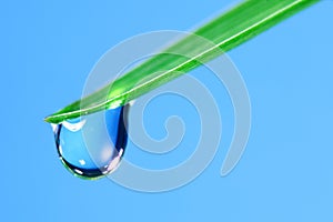 Water drop on grass