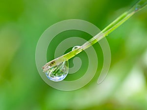 Water-drop on green blade