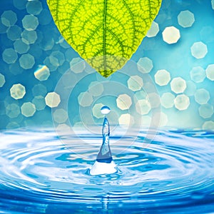 Water drop from green leaf