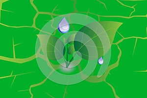 Water drop on green leaf ground texture