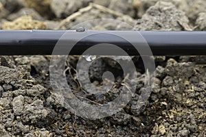 Water drop on the irrigation line over the plants bedding for gr