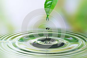 Water drop on leaf