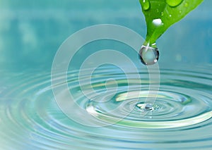 Water drop on leaf