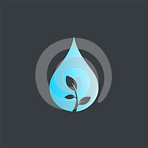 Water drop and leaf logo design vector template