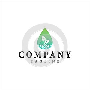 Water drop leaf vector logo design