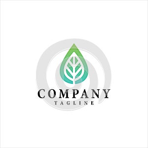 Water drop leaf vector logo design