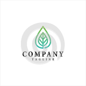 Water drop leaf vector logo design