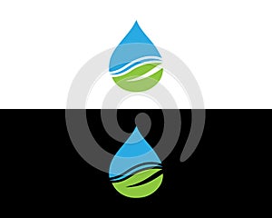 Water Drop Logo Design