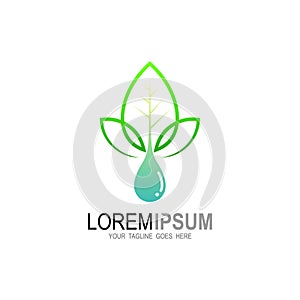 Water drop Logo Template vector illustration design