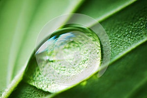 Water drop macro