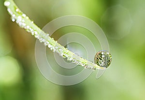 Water drop reflection