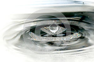 Water drop and spalsh