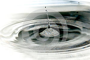 Water drop and spalsh