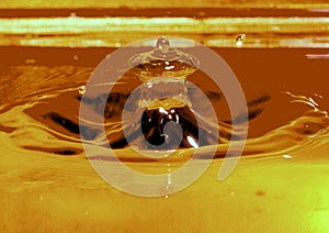 Water drop and spalsh