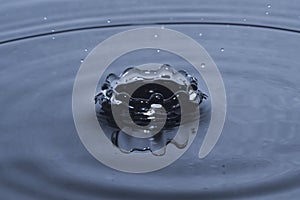 Water drop splash in crown shape