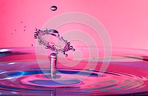 Water drop splash impact
