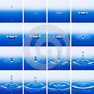 Water drop in time lapse
