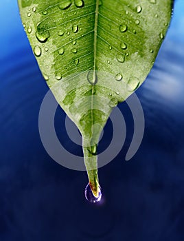 Water droplet