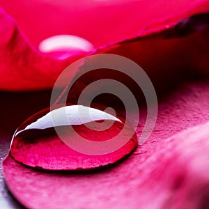 Water droplet on red rose petal - macro