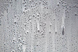 Water droplets photo