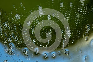 Photograph of water droplets clumping together in groups. The background is blue. Take photos with a macro or close-up lens. photo