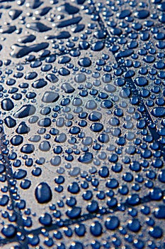 Water droplets on Blue Plate