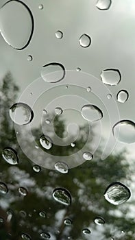 Water droplets on the car windshield