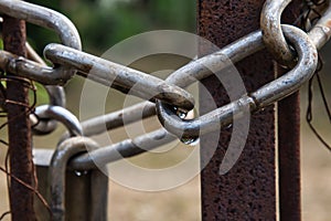 Water droplets on a chain  link