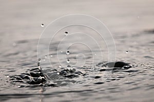 Water Droplets Falling Into A Pond At Sunset