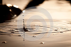 Water Droplets Falling Into A Pond At Sunset