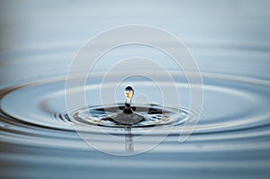 Water Droplets Falling Into A Pond At Sunset