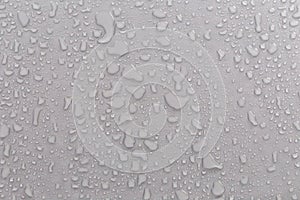 Water droplets on the gray background