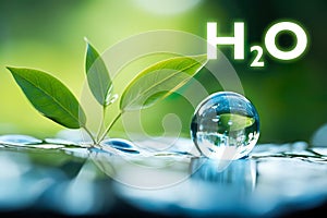 Water droplets, Green leaf and H2O symbol. Concept of nature and environment. Sustainability