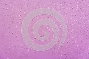 Water droplets on a pink background. For as a background drop on the product