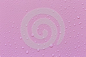 Water droplets on a pink background. For as a background drop on the product