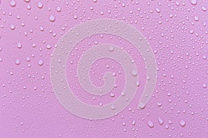 Water droplets on a pink background. For as a background drop on the product