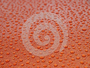 Water droplets on polished car