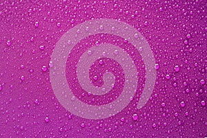 Water droplets on a purple