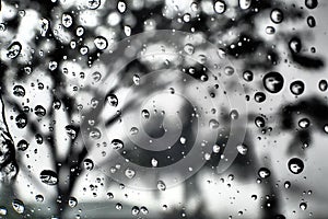 water droplets rainy tree bluur