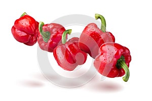 Water droplets on Red Bell Pepper isolated on white background