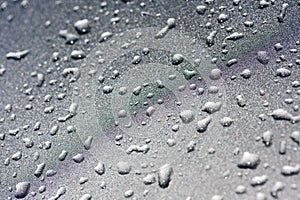 Water droplets on a silver metalic background photo