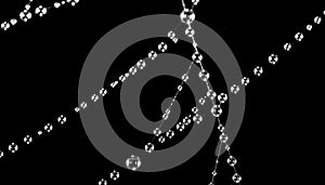 Water droplets on a spider web on a black background