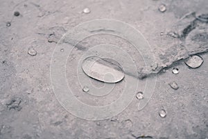 Water droplets on stamp concrete. Stamp concrete texture pattern and background.