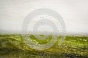 Water droplets on the windshield of a car while driving in green