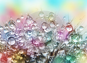 Water drops