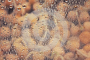 Water drops as a color background, close up
