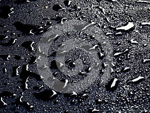 Water drops on asphalt