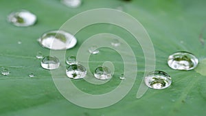 Water drops background